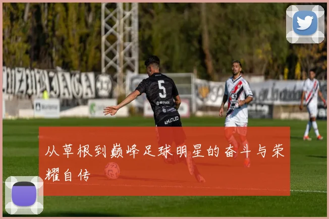 从草根到巅峰足球明星的奋斗与荣耀自传