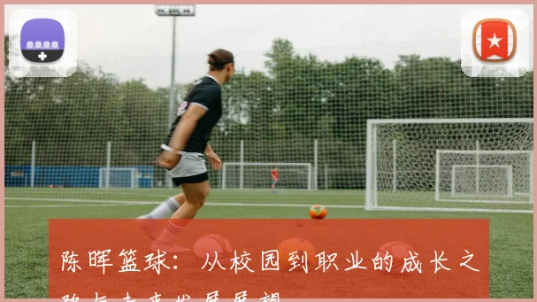 陈晖篮球：从校园到职业的成长之路与未来发展展望