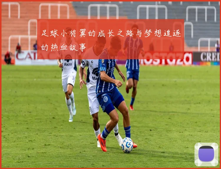 足球小将翼的成长之路与梦想追逐的热血故事