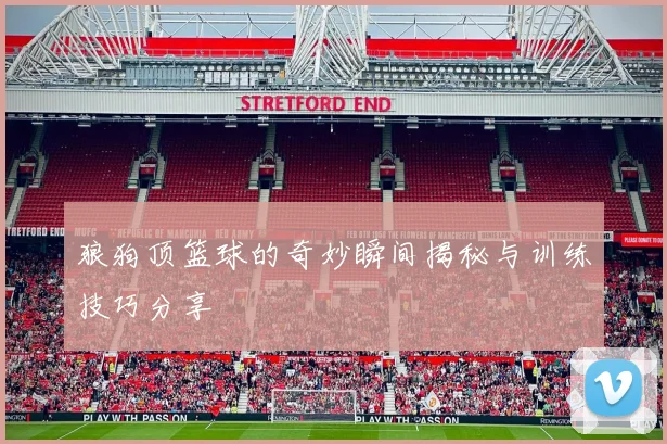 狼狗顶篮球的奇妙瞬间揭秘与训练技巧分享