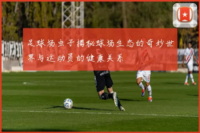 足球场虫子揭秘球场生态的奇妙世界与运动员的健康关系