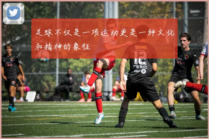足球不仅是一项运动更是一种文化和精神的象征