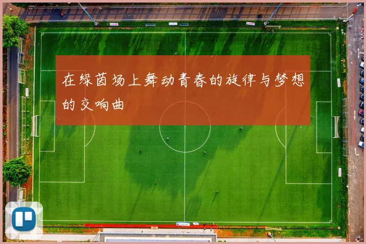 在绿茵场上舞动青春的旋律与梦想的交响曲