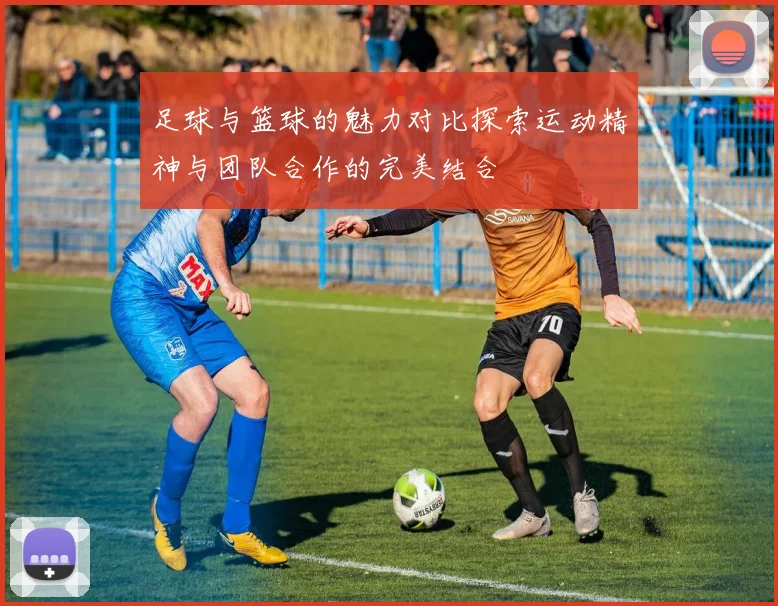 足球与篮球的魅力对比探索运动精神与团队合作的完美结合