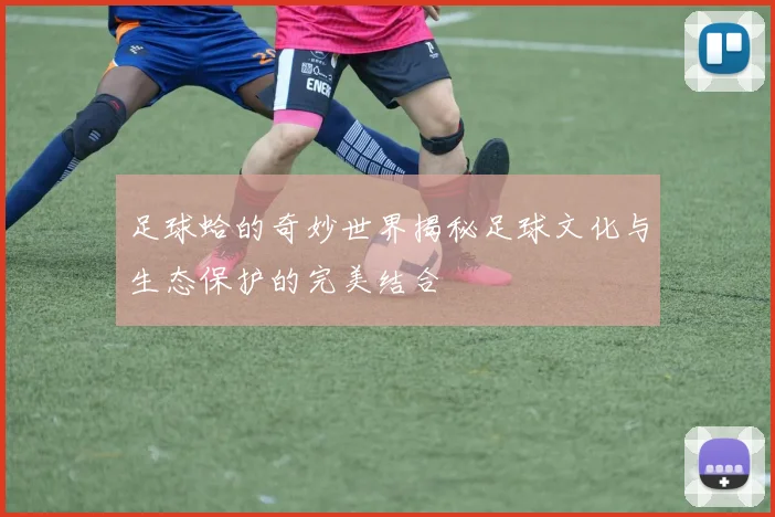 足球蛤的奇妙世界揭秘足球文化与生态保护的完美结合