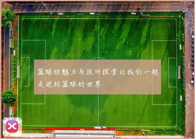 篮球的魅力与技巧探索让我们一起走进标篮球的世界
